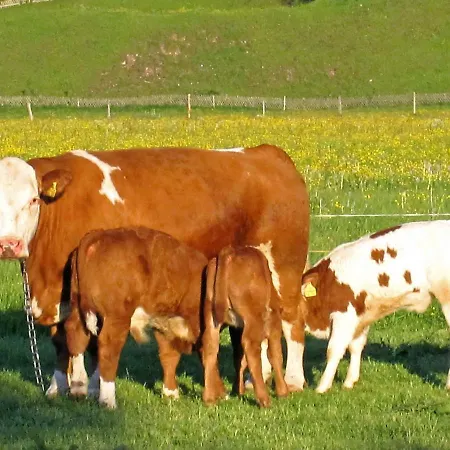 Hausernhof - Chiemgau Karte *